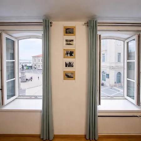 Ellipse Apartment